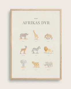 African Animals