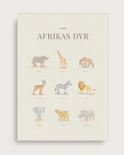 African Animals