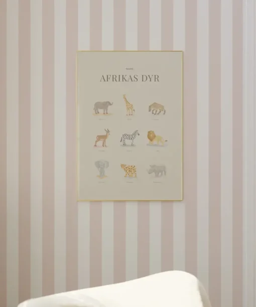 African Animals