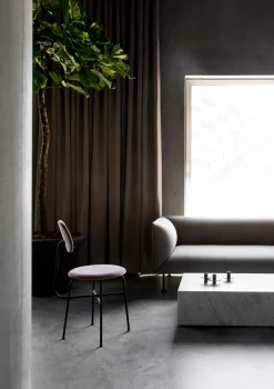 Afteroom / Dining Chair Plus
