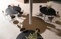 Afteroom / Dining Chair Plus
