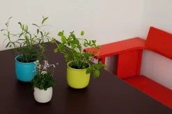 Alev Vase 01