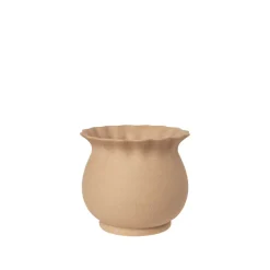 Alexa Flowerpot