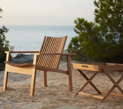 Amaze Lounge Chair