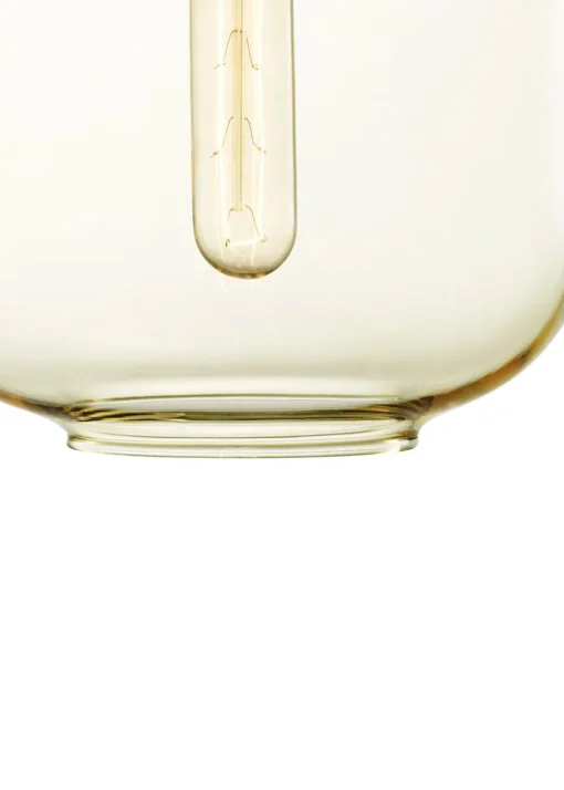 Amp Lamp