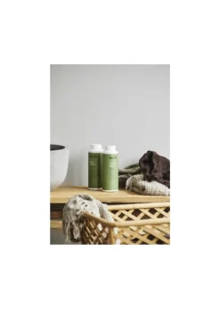 ARVI square basket
