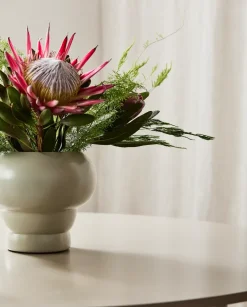 Aves Flowerpot