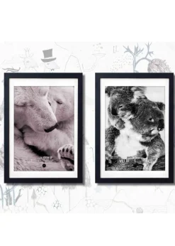 Baby Polar Bear Colour