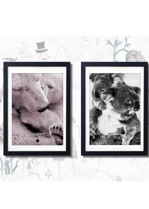 Baby Polar Bear Colour