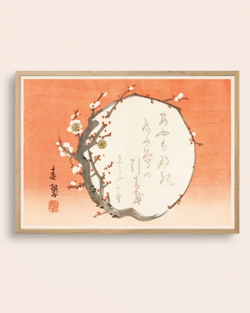 Baika poster