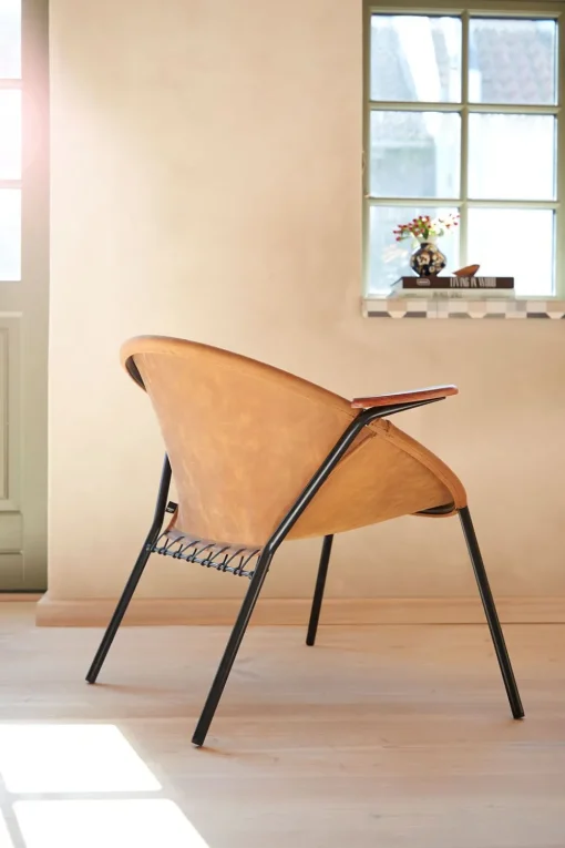 Balloon Chair