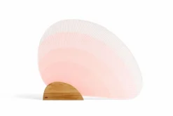 Bamboo Paper Fan