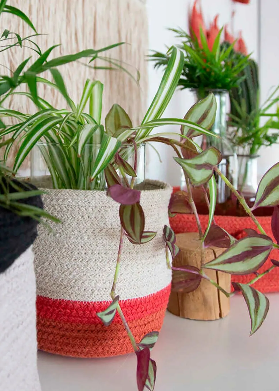 Basket Mini Tricolor