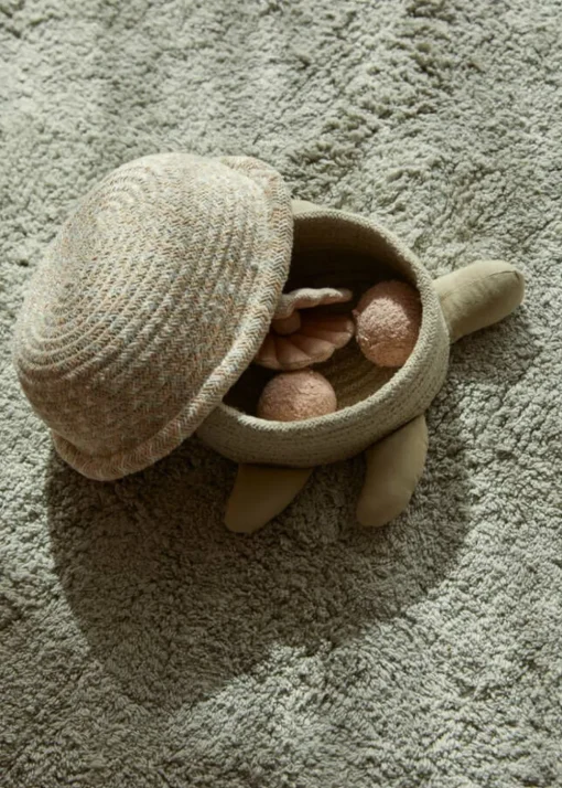 Basket Turtle