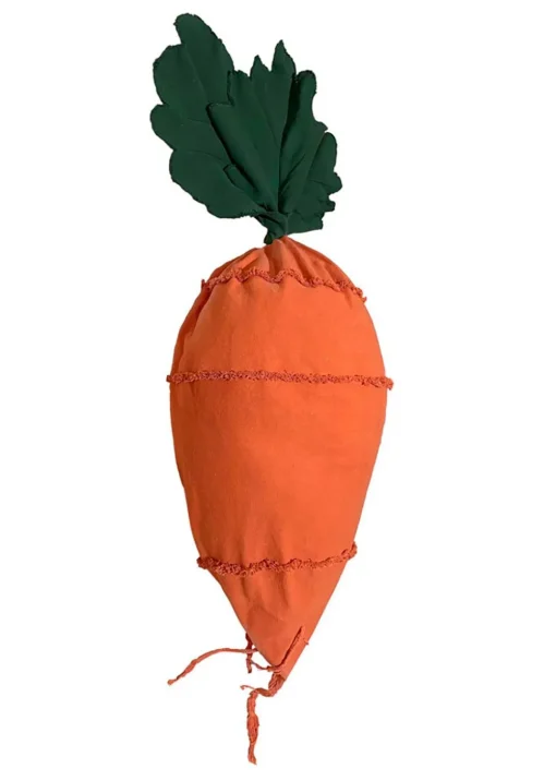 Bean Bag Cathy The Carrot