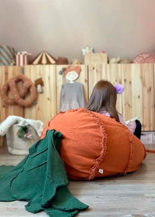 Bean Bag Cathy The Carrot