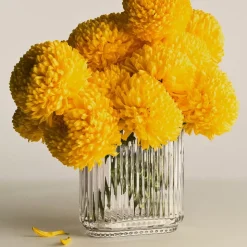 Bernadotte Oval Vase Glass