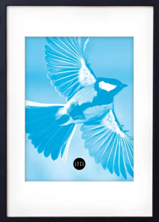 Blue Sparrow