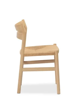 BM1 Salon Chair