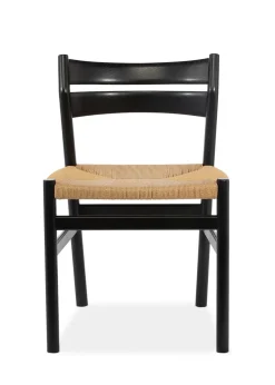 BM1 Salon Chair