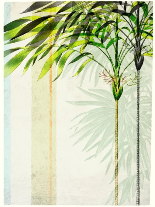 Botanical Composition II #2701