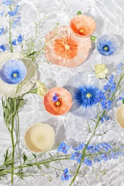 Bowl Poppy