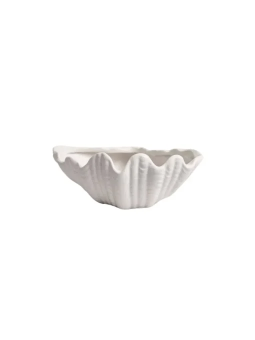 Bowl Shell S