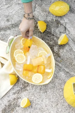 Bowl With Lid Lemon