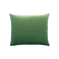 Camel - Basic Large