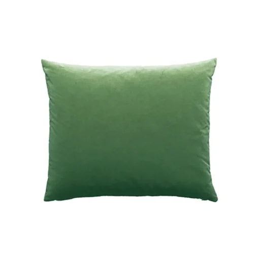 Camel - Basic Large