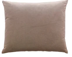 Camel - Basic Large