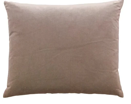 Camel - Basic Large