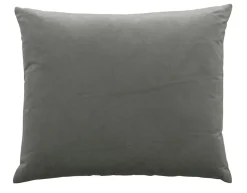 Camel - Basic Large