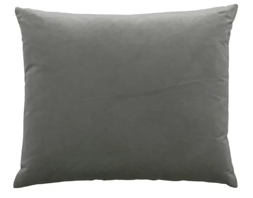 Camel - Basic Large