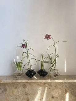 Canyon Vase