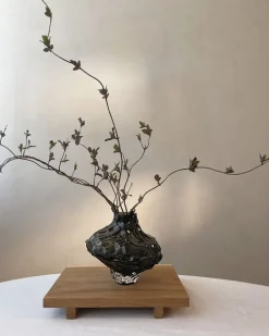 Canyon Vase