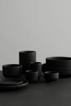 Ceramic PISU