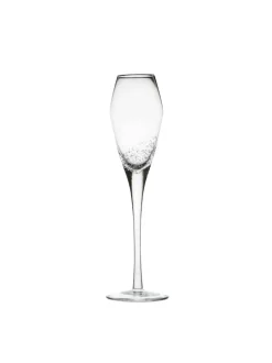 Champagne Glass Bubbles