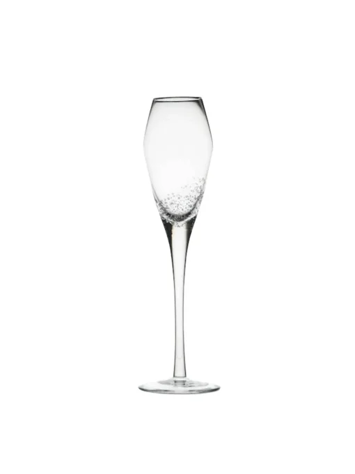 Champagne Glass Bubbles