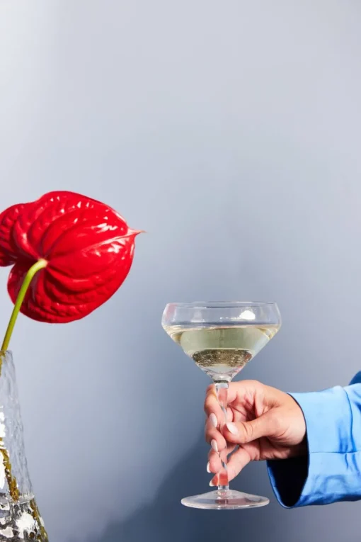 Champagne Saucer Bubbles
