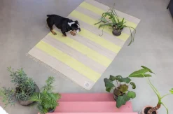 Chindi Rug