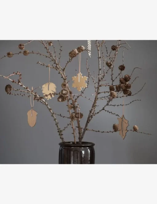 Christmas Hang on Acorn