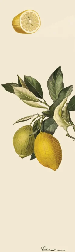 Citrus slim