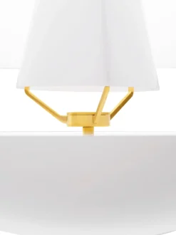 Clam - A pearl of light