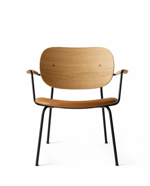 Co Lounge Chair