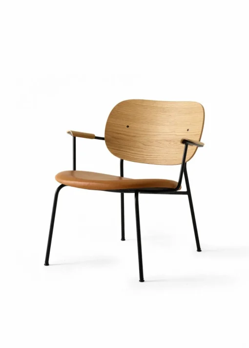 Co Lounge Chair