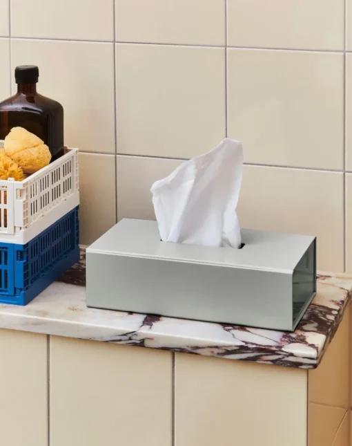 Colour Storage Tissue Box