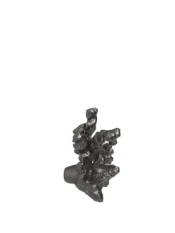 Comber Coral Branch Hook
