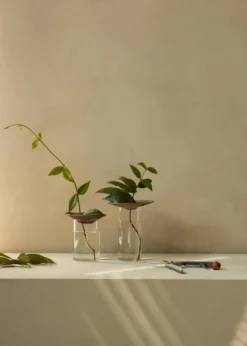 Cresco Propagation Vase (set of two)