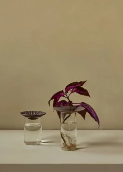 Cresco Propagation Vase (set of two)